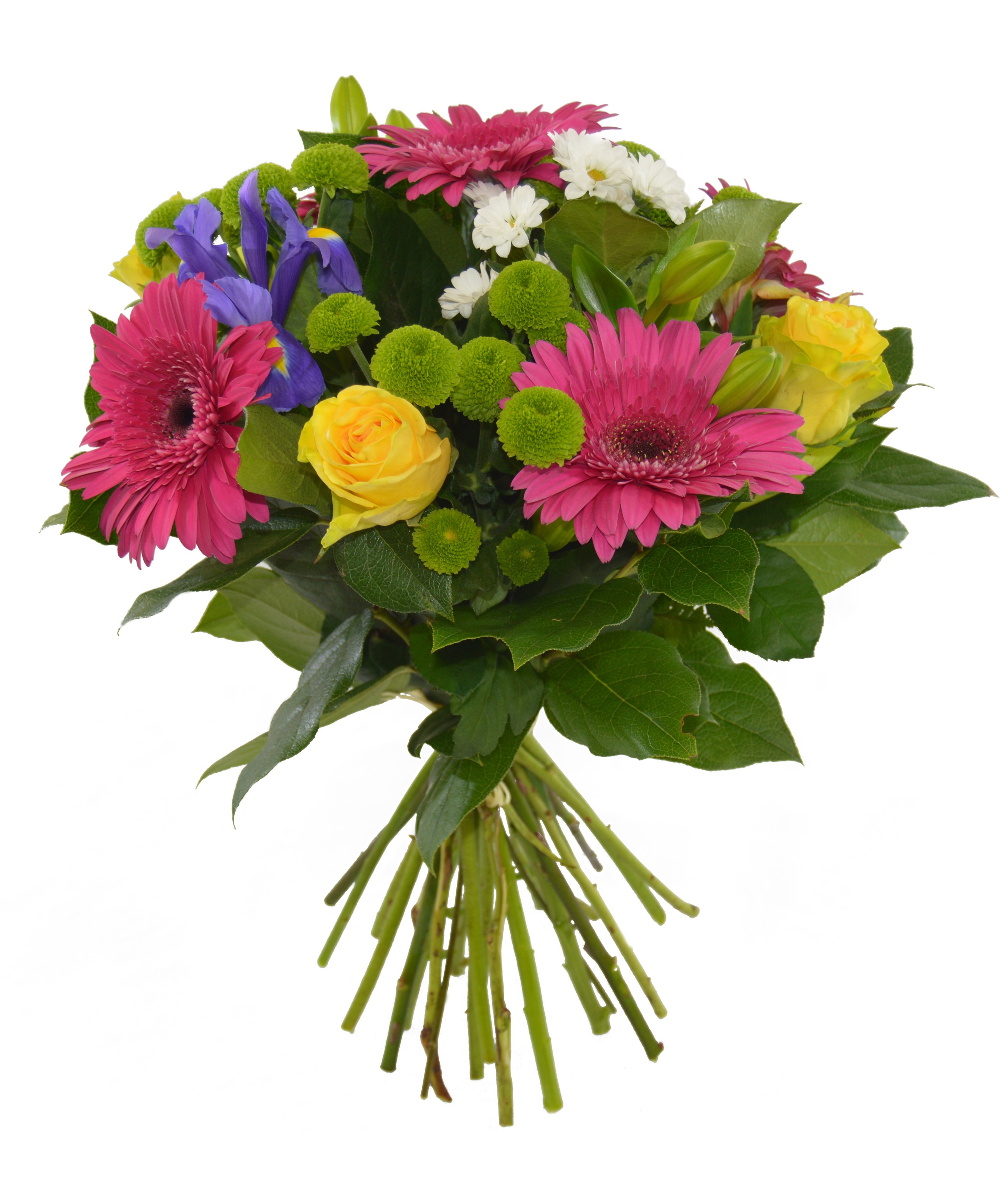 Ramo de flores Arco Iris – Floristeria Denis